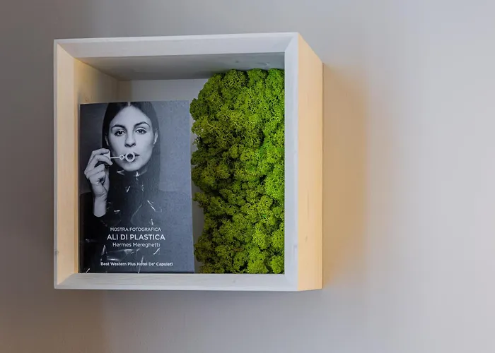 Western De Capuleti 3* 维罗纳