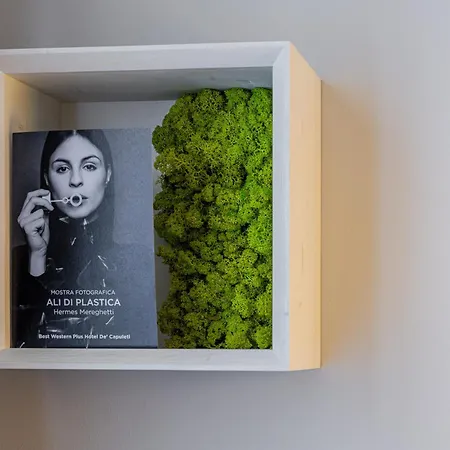 Western De Capuleti 3* Verona